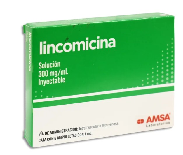 Lincomicina 300 mg / mL Caja C/6 Ampolletas